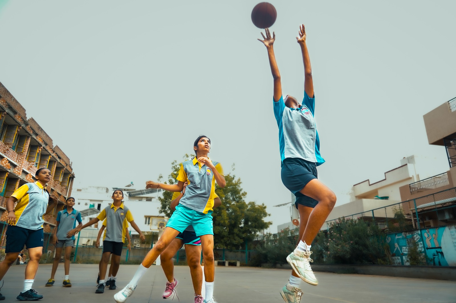 Sports & Athletics